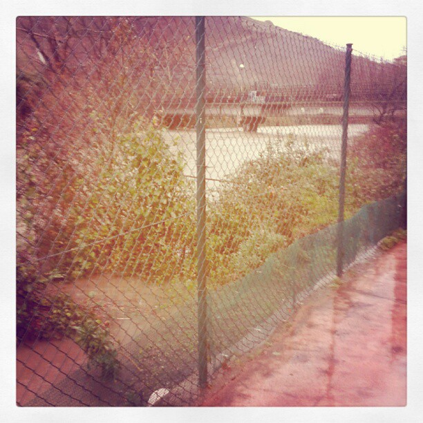 484039_4845972620504_1199374579_n