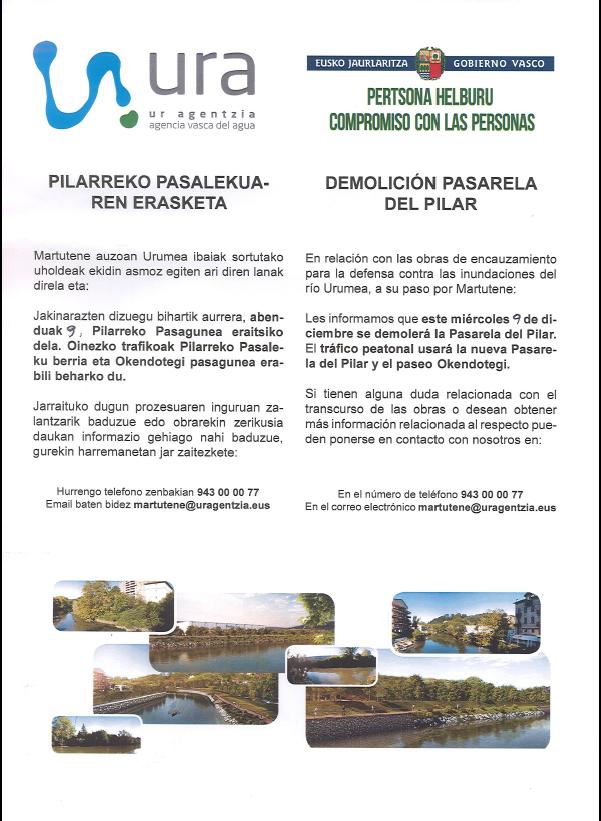 Demolición pasarela 9 diciembre (2)